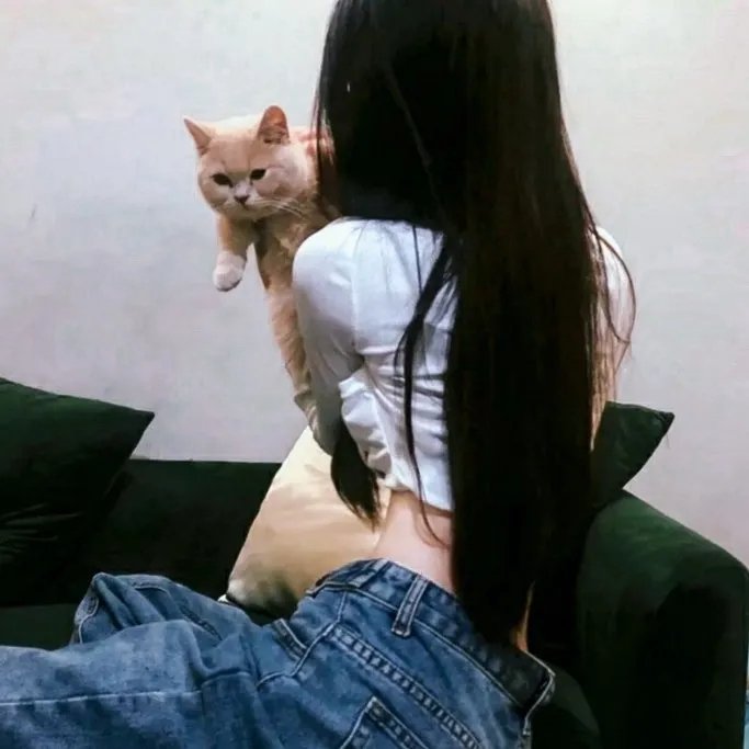 燕尾蝶